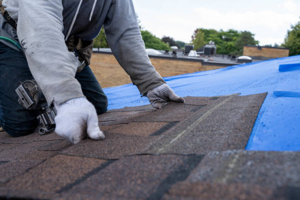 Best Metal Roofing Contractor  in Lynwood, IL